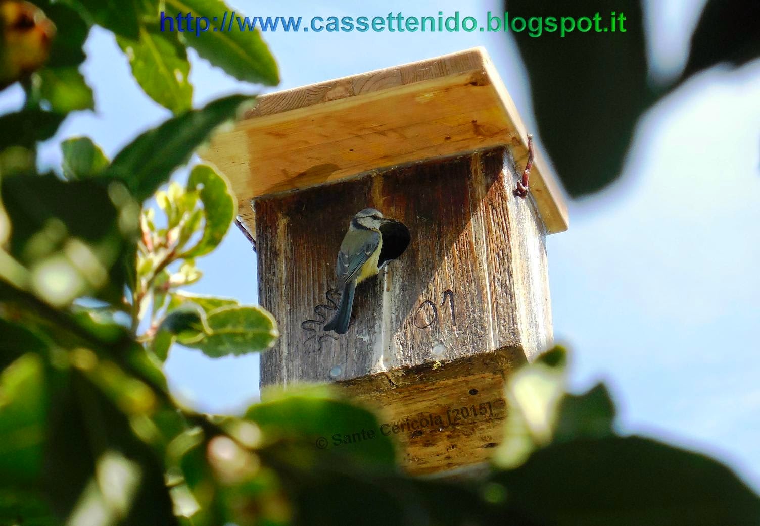 Palla Nido In Juta Per Uccelli - Per Tutte Le Razze, Stimola Il Comportamento Naturale - Foto 6